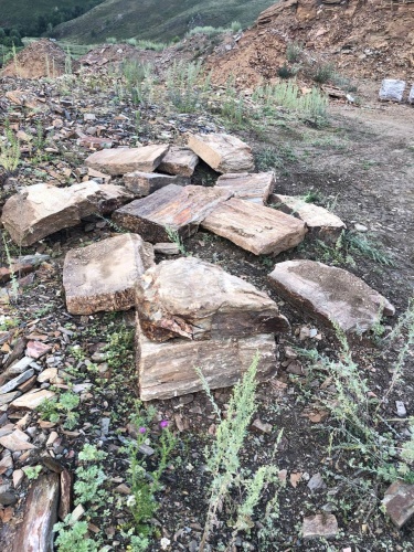 Плитняк кора дерева 50-100мм для пошаговых дорожек купить в Нижней Салде